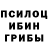 Псилоцибиновые грибы Psilocybine cubensis Christian Puente