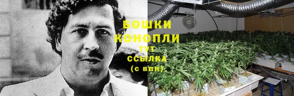 прущие крисы Зерноград