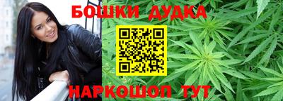 гидра Заводоуковск