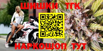 гидра Заводоуковск