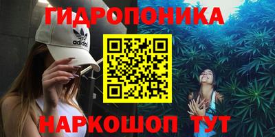 гидра Заводоуковск