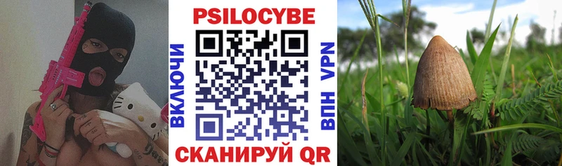 Галлюциногенные грибы Magic Shrooms  Пушкино 